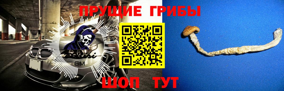 Галлюциногенные грибы мухоморы Псков